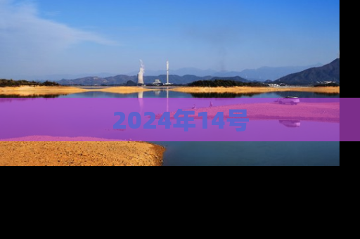 2024年14号