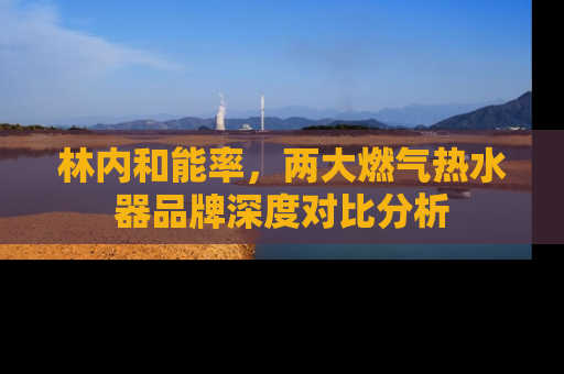 林内和能率，两大燃气热水器品牌深度对比分析