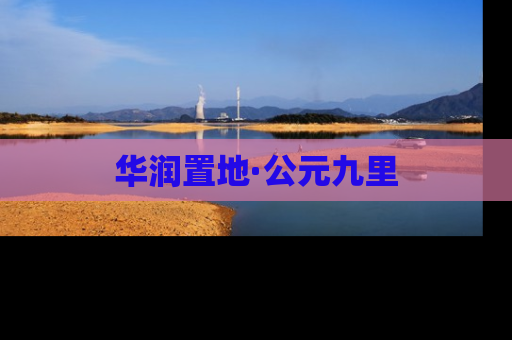 华润置地·公元九里