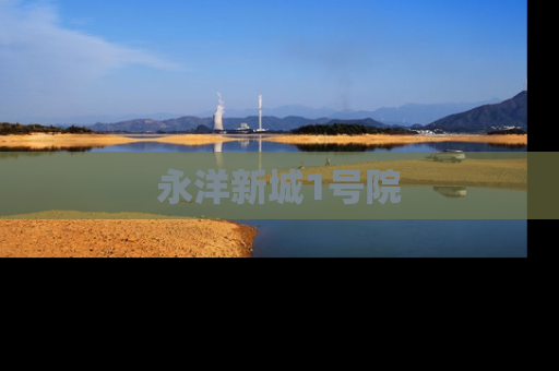 永洋新城1号院