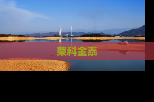 荣科金泰