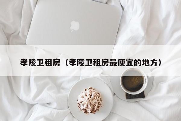 孝陵卫租房（孝陵卫租房最便宜的地方）
