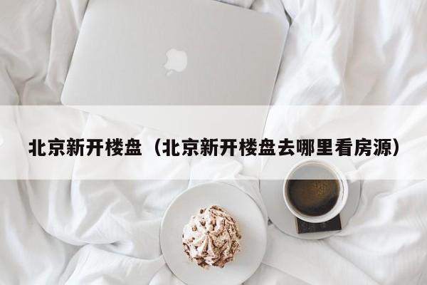 北京新开楼盘（北京新开楼盘去哪里看房源）